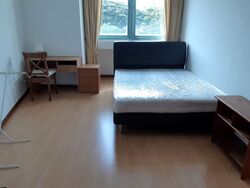 Gloucester Mansions (D11), Apartment #338775591